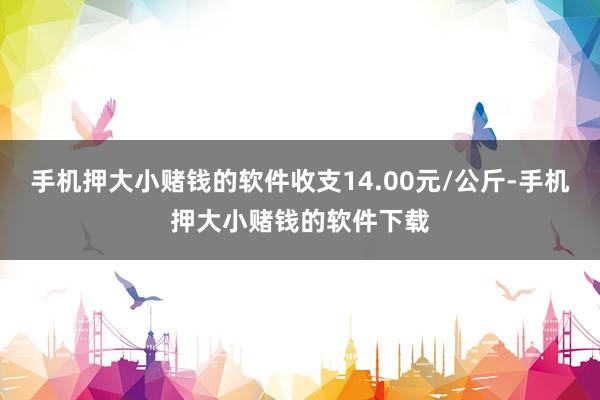 手机押大小赌钱的软件收支14.00元/公斤-手机押大小赌钱的软件下载