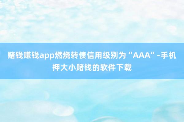 赌钱赚钱app燃烧转债信用级别为“AAA”-手机押大小赌钱的软件下载