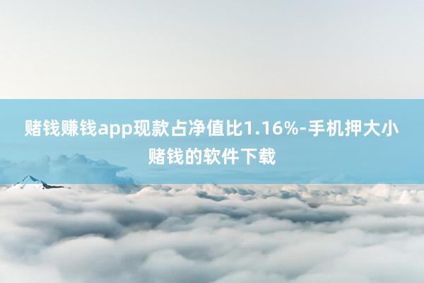 赌钱赚钱app现款占净值比1.16%-手机押大小赌钱的软件下载