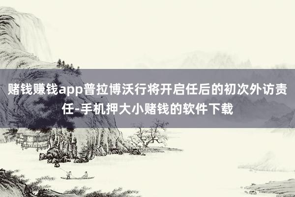 赌钱赚钱app普拉博沃行将开启任后的初次外访责任-手机押大小赌钱的软件下载