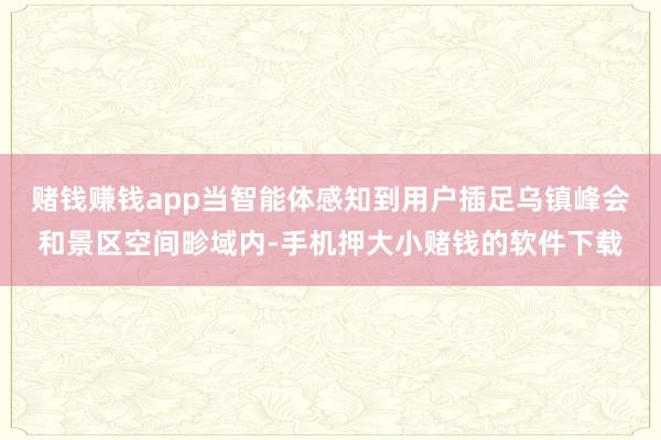 赌钱赚钱app当智能体感知到用户插足乌镇峰会和景区空间畛域内-手机押大小赌钱的软件下载