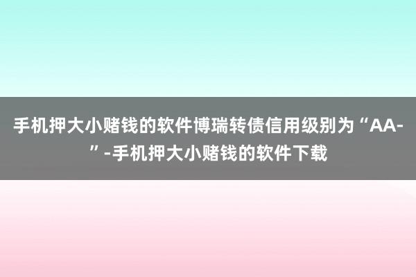 手机押大小赌钱的软件博瑞转债信用级别为“AA-”-手机押大小赌钱的软件下载