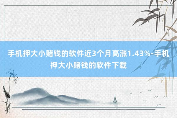 手机押大小赌钱的软件近3个月高涨1.43%-手机押大小赌钱的软件下载