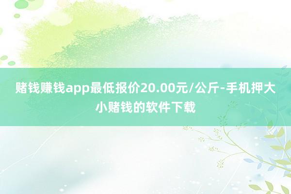 赌钱赚钱app最低报价20.00元/公斤-手机押大小赌钱的软件下载