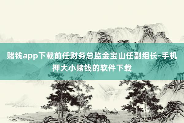 赌钱app下载前任财务总监金宝山任副组长-手机押大小赌钱的软件下载