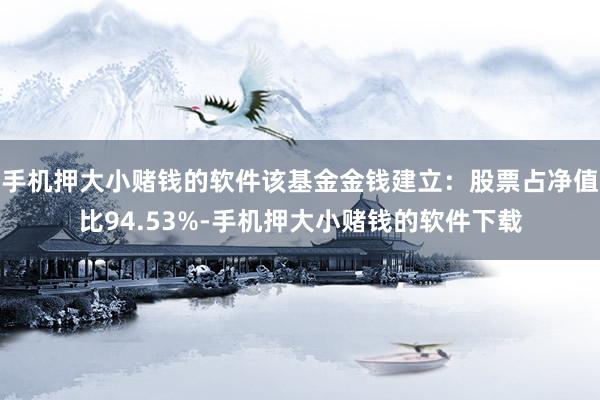 手机押大小赌钱的软件该基金金钱建立：股票占净值比94.53%-手机押大小赌钱的软件下载