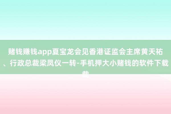赌钱赚钱app夏宝龙会见香港证监会主席黄天祐、行政总裁梁凤仪一转-手机押大小赌钱的软件下载
