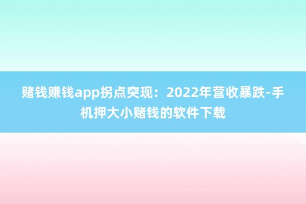 赌钱赚钱app　　拐点突现：2022年营收暴跌-手机押大小赌钱的软件下载