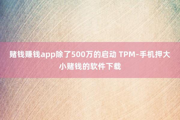 赌钱赚钱app除了500万的启动 TPM-手机押大小赌钱的软件下载