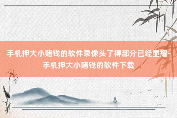 手机押大小赌钱的软件录像头了得部分已经显耀-手机押大小赌钱的软件下载