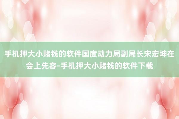 手机押大小赌钱的软件国度动力局副局长宋宏坤在会上先容-手机押大小赌钱的软件下载