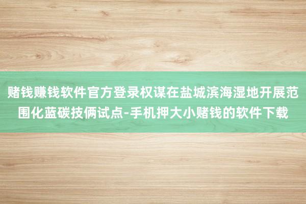 赌钱赚钱软件官方登录权谋在盐城滨海湿地开展范围化蓝碳技俩试点-手机押大小赌钱的软件下载