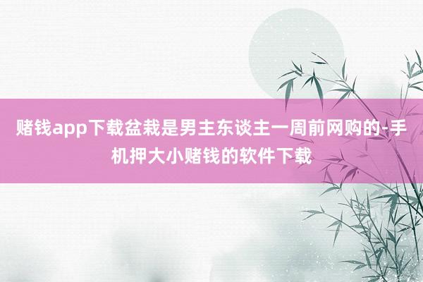 赌钱app下载盆栽是男主东谈主一周前网购的-手机押大小赌钱的软件下载