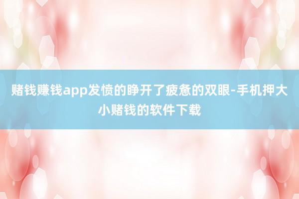 赌钱赚钱app发愤的睁开了疲惫的双眼-手机押大小赌钱的软件下载
