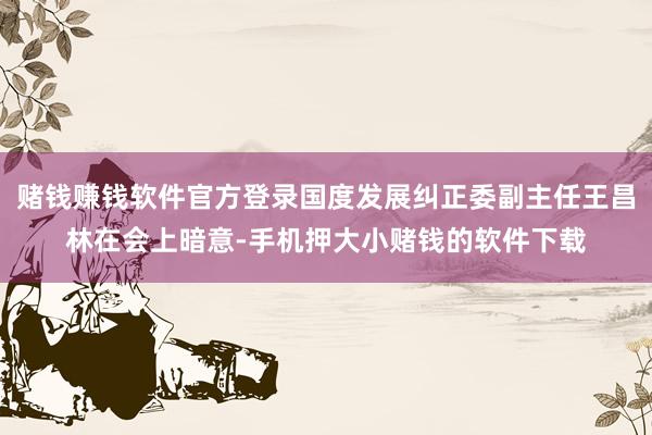 赌钱赚钱软件官方登录国度发展纠正委副主任王昌林在会上暗意-手机押大小赌钱的软件下载