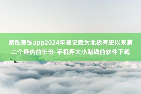 赌钱赚钱app2024年被记载为北极有史以来第二个最热的年份-手机押大小赌钱的软件下载