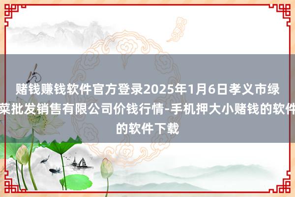 赌钱赚钱软件官方登录2025年1月6日孝义市绿海蔬菜批发销售有限公司价钱行情-手机押大小赌钱的软件下载