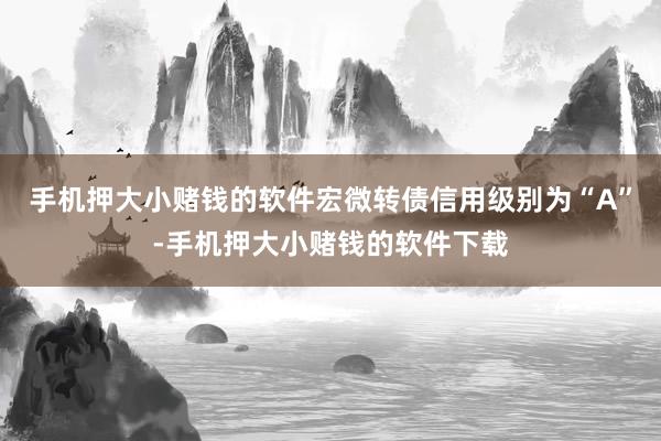 手机押大小赌钱的软件宏微转债信用级别为“A”-手机押大小赌钱的软件下载