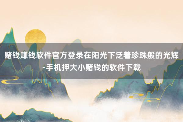 赌钱赚钱软件官方登录在阳光下泛着珍珠般的光辉-手机押大小赌钱的软件下载