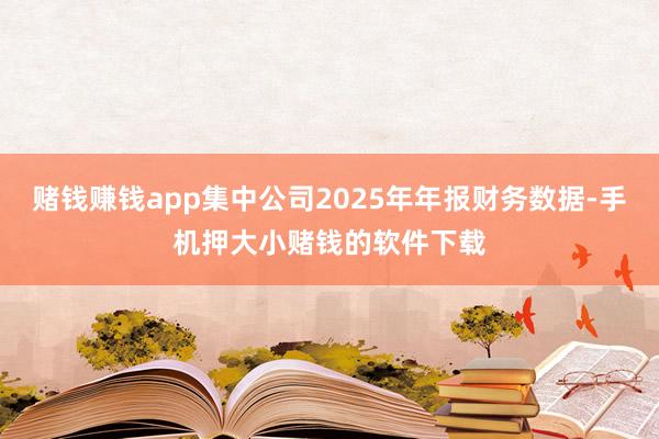 赌钱赚钱app集中公司2025年年报财务数据-手机押大小赌钱的软件下载