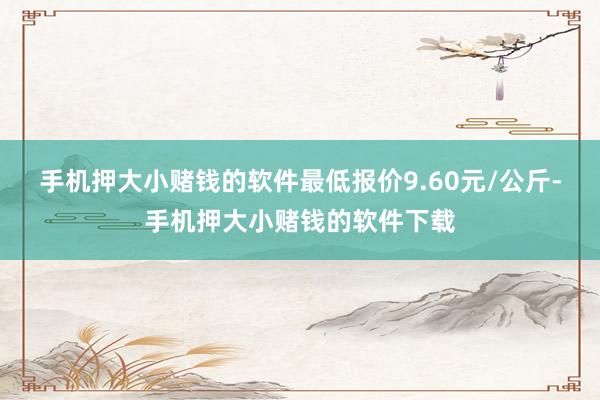手机押大小赌钱的软件最低报价9.60元/公斤-手机押大小赌钱的软件下载